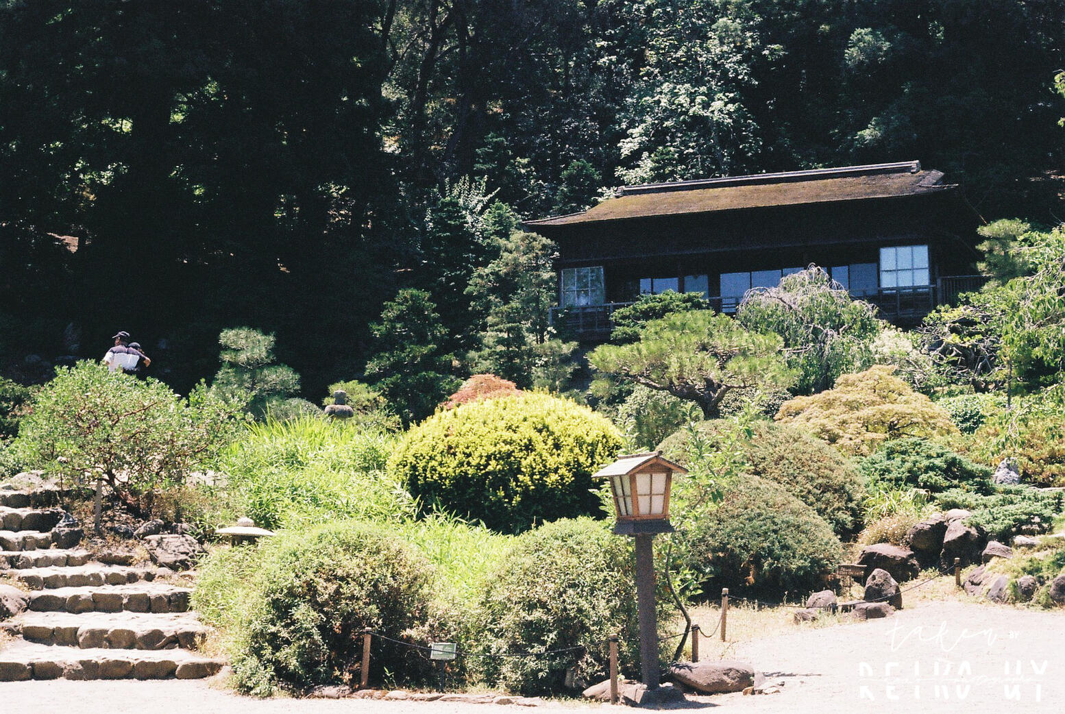 Zen House