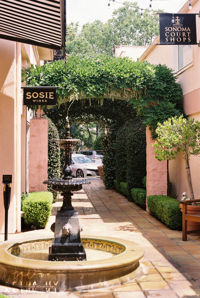 Sonoma Alleys