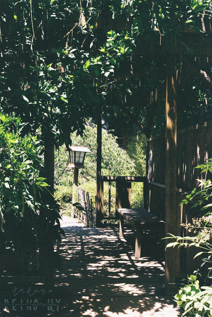 Waiting on the Bench